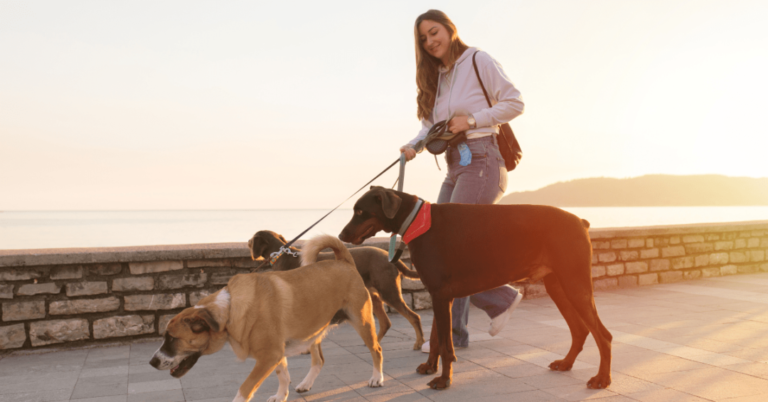 walking for weight loss