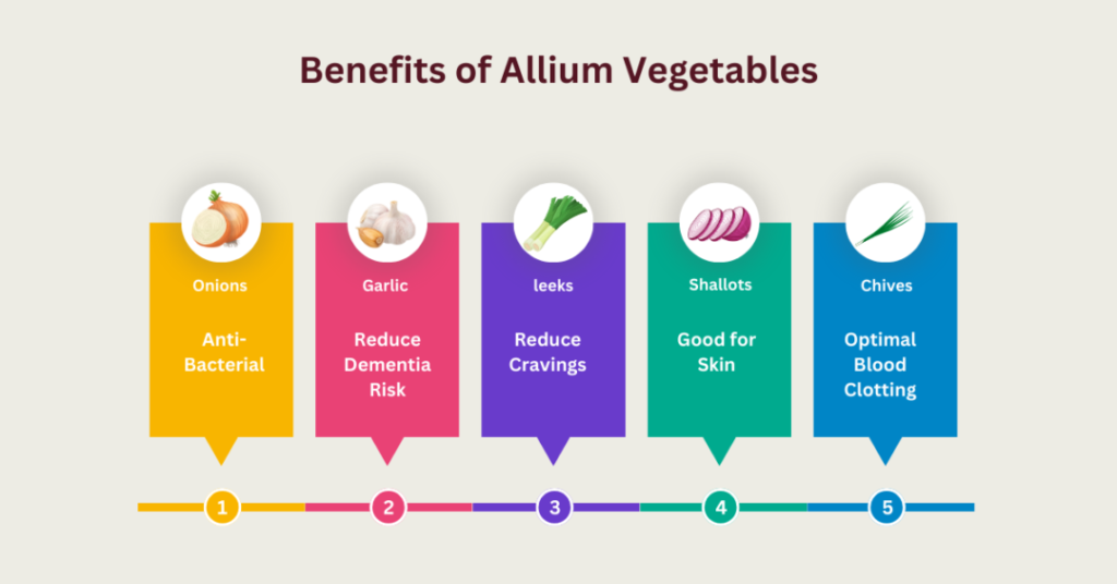 Allium Vegetables Chart