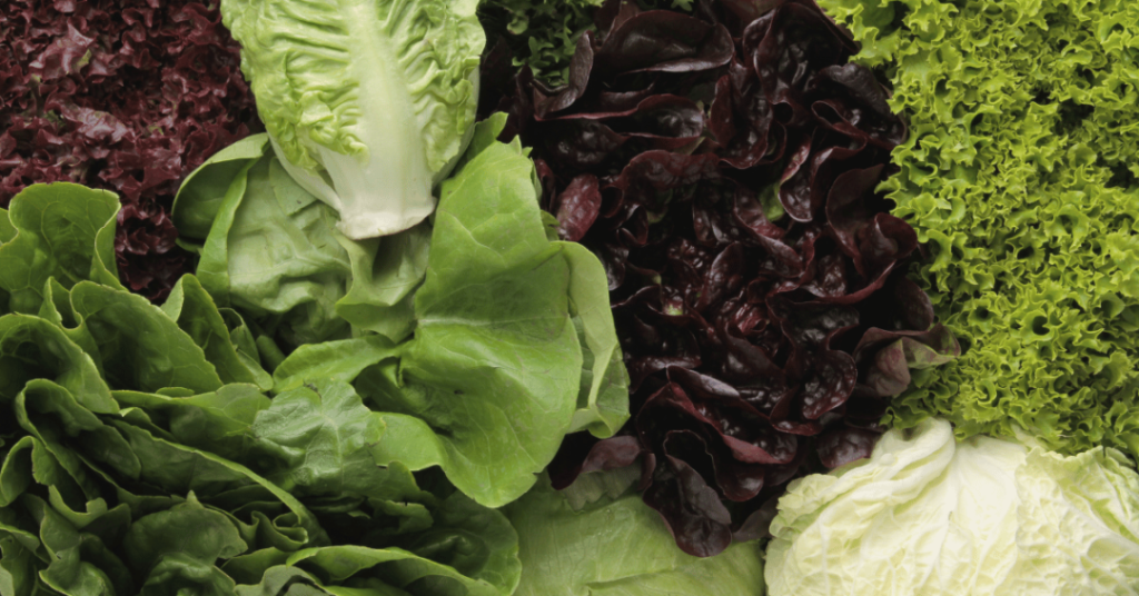 Salad For Weight Loss 4