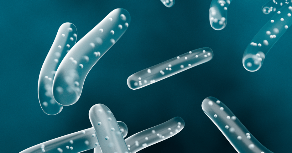 digestive enzymes vs probiotics 3