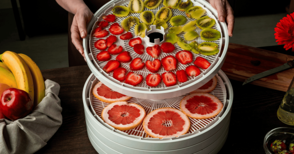 food dehydrator