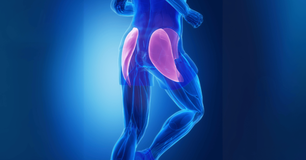 glute machine muscle activation