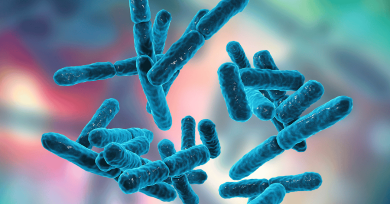 probiotic strains for weight loss