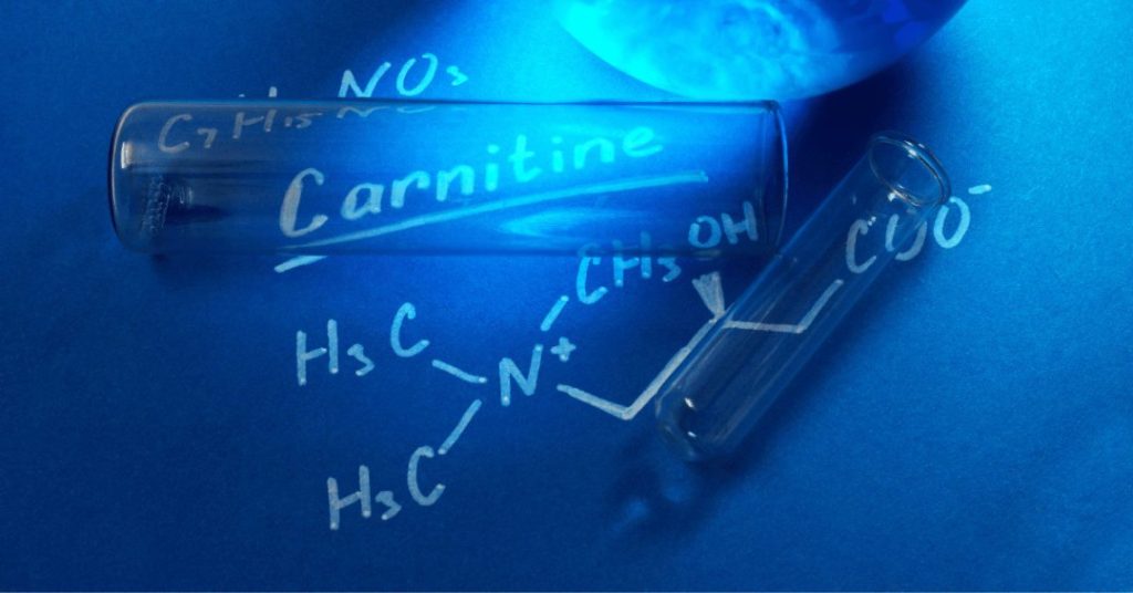 L Carnitine for weight loss 2