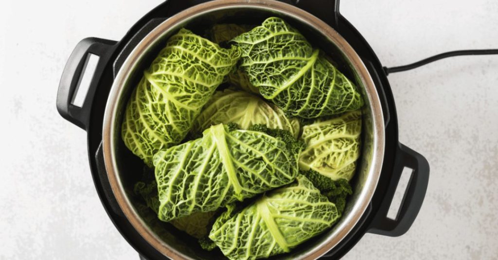 instant pot steam function